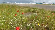 AÉROBIO - L’aéroport Tarbes-Lourdes-Pyrénées labellisé